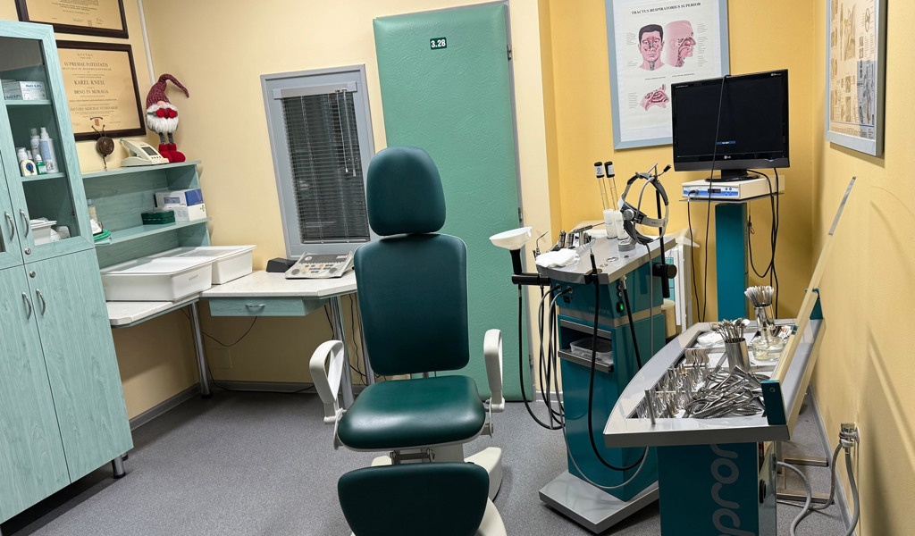 Zástup v době nepřítomnosti - Frenštát p. R. - zvětšit obrázek